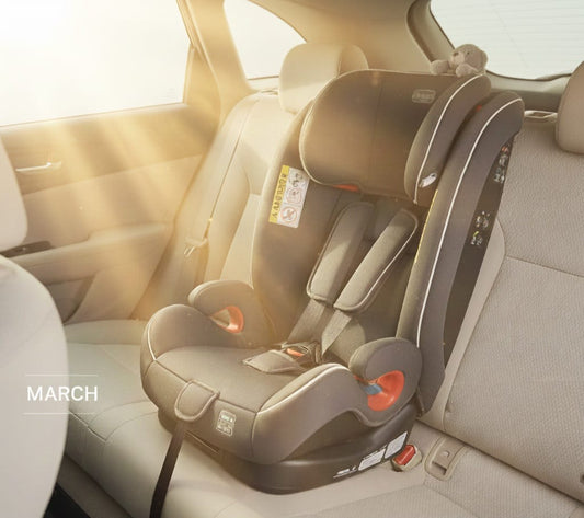 March Reset, a simple plan that keeps your back seat check automatic